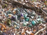 DSCF3531.webp