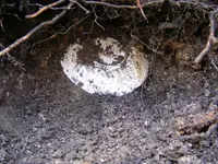 DSCF3668.webp