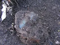 DSCF3677.webp