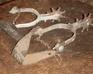 untitled spurs.webp