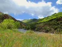 wet weather 5.webp