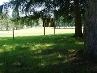 DSCF0002.webp