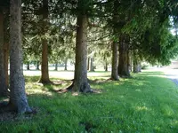 DSCF0003.webp