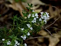 DSCN1759.webp