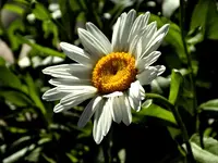 DSCN1733.webp