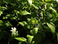 DSCN1753.webp