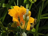 DSCN1754.webp