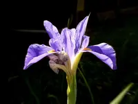 DSCN1760.webp