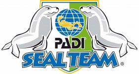 Seal_Team.jpg