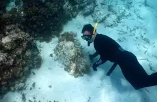 Miles-Silman-examines-a-stressed-portion-of-Lighthouse-Reef_-Photo-by-Justin-Catanoso.webp