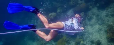 palau-diver-hero-1600x640-compressor.webp