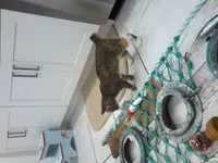 20180415_232209.webp
