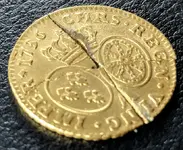 GoldCoin2.webp