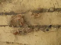 21102015_Archaeologie_Landwirtschaft.webp