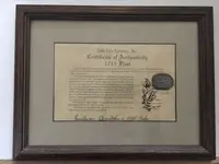 Framed FAKE 1.webp