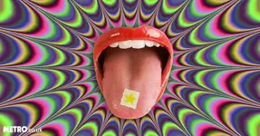 lsd.webp
