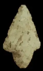 DicksonKK.webp