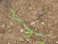 20180519_091740.webp