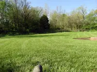 perspective.webp
