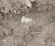 20180519_163006.webp