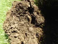 DSCN1808.webp