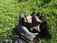 DSCN1809.webp