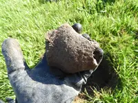 DSCN1810.webp