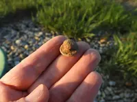 DSCN1895.webp