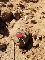 20180519_093330.webp 20180519_093330.webp