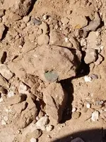 20180519_101954.webp 20180519_101954.webp