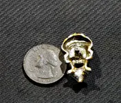DSCN1356.webp