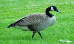 K1600_003.webp