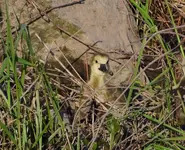K1600_018.webp