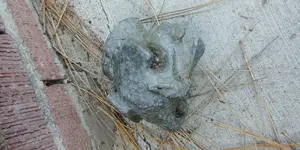 20180519_165907.webp