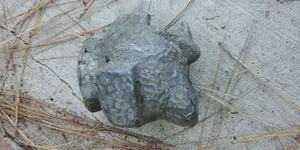 20180519_165915.webp