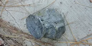 20180519_165924.webp
