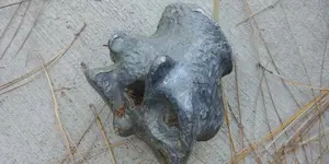 20180519_165930.webp