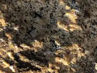 ImageUploadedByTreasureNet.com1528861271.831949.webp