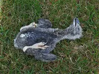 K1600_008.webp