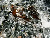 ImageUploadedByTreasureNet.com1529553737.467872.webp
