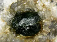 ImageUploadedByTreasureNet.com1529553753.999866.webp