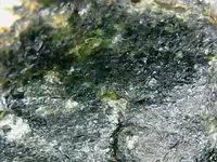 ImageUploadedByTreasureNet.com1529553778.476094.webp