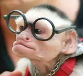 Cute-Funny-Money-pics-image-pictures-photo-1.webp