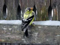 K1600_021.webp