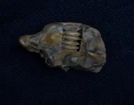 20180114_172742.webp