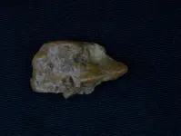 20180114_172401.webp