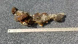20180511_154941.webp