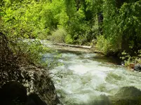 wet weather 7.webp