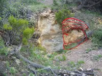 Heart Skull.webp