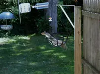 K1600_023.webp